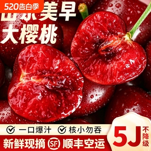 降了2斤装【现摘现发】山东大樱桃2JJ