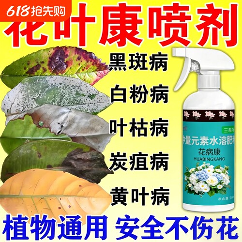 花病康杀菌剂喷雾月季兰花多肉花卉通用白粉黑斑病黄叶植物绿植