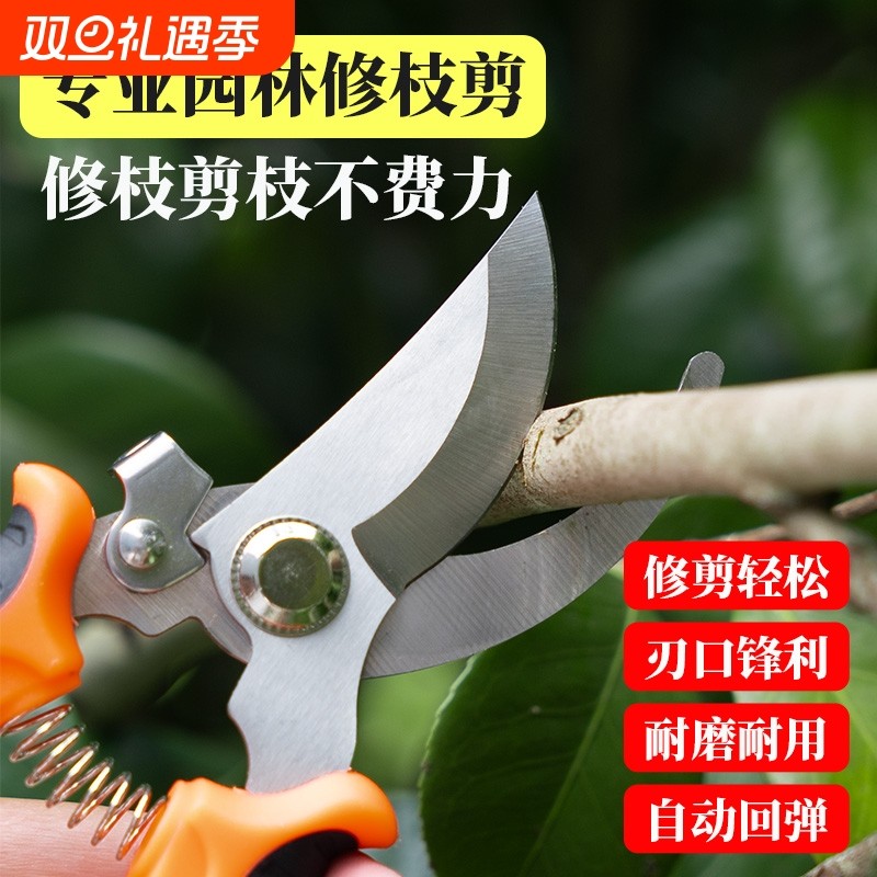 修枝剪摘果神器专用工具园艺修剪花卉剪刀不锈钢家用树枝剪枝园林