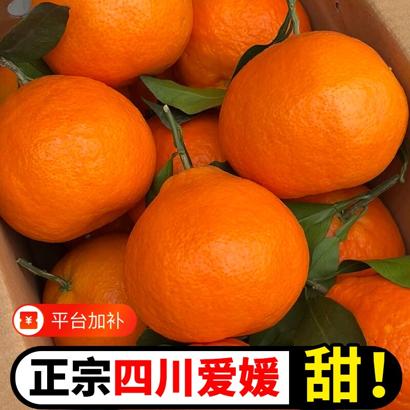 正宗四川爱媛38号果冻橙新鲜应当季孕妇水果冰糖橙子柑桔子橘子甜