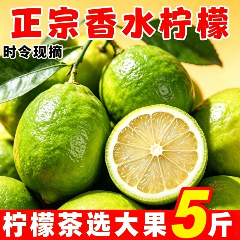 广东正宗香水柠檬一级果新鲜采摘果无籽当季香柠檬时令手打现摘