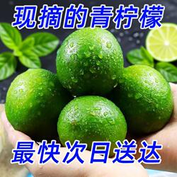 安岳柠檬四川青柠檬新鲜水果当季采摘绿皮鲜果开胃泡水奶茶店皮薄