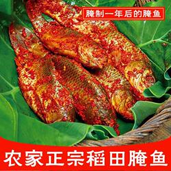 贵州黎平到稻花鱼腌鱼5斤装酸鱼黔东南土特产整条鱼肉水产鱼肥