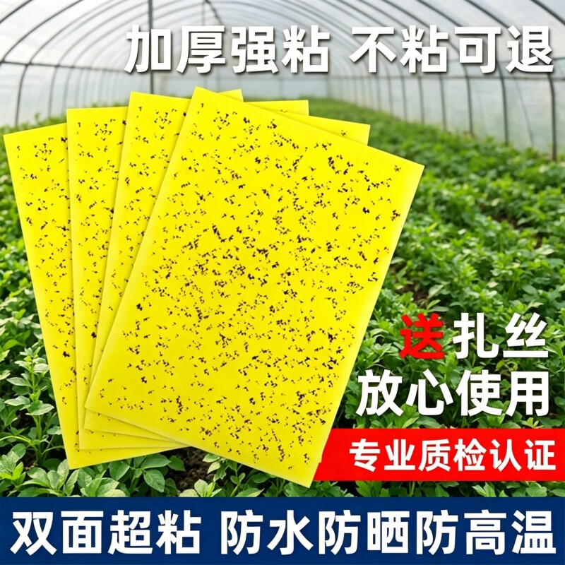 粘虫板黄板双面大棚强力粘蚊贴果园苍蝇诱粘剂小飞虫果蝇贴诱捕器