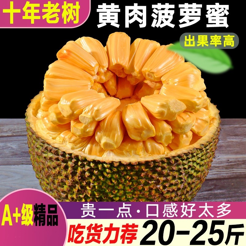 黄肉菠萝蜜海南三亚新鲜水果一整个干包大果现摘现发产地直发包邮,水产肉类/新鲜蔬果/熟食,菠萝蜜,淘宝优惠券,粉丝福利购,淘宝优惠卷