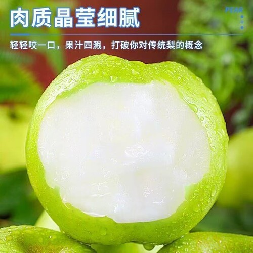 大青梨梨子新鲜水果砀山青梨皇冠梨当季翠冠梨香酥脆蜜早雪梨