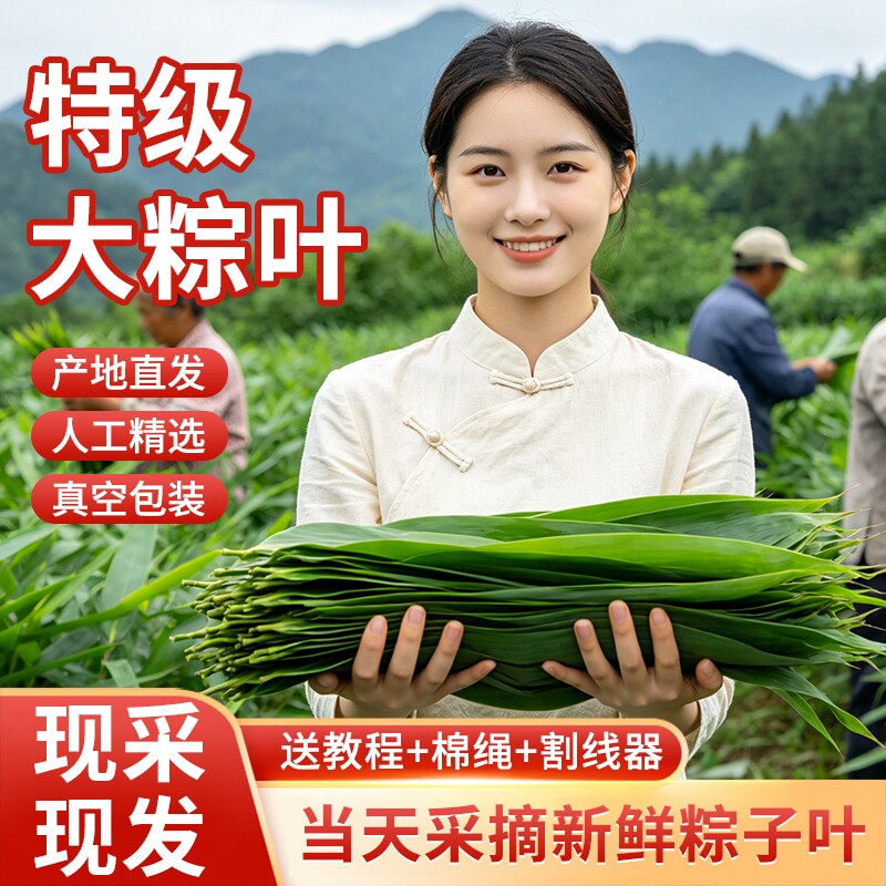 新鲜粽子叶特大粽叶箬叶端午节包粽子的叶子家用商用干送绳现摘