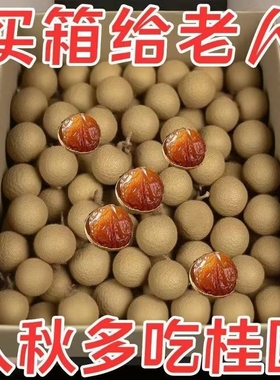 抢新货桂圆干特级14A大果带壳核小肉厚福建莆田龙眼干干龙眼新鲜