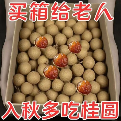 抢新货桂圆干特级14A大果带壳核小肉厚福建莆田龙眼干干龙眼新鲜