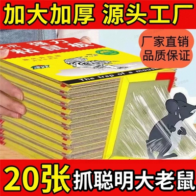 强力粘大老鼠贴|超7000次加购