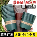 花盆家用2025塑料树脂多肉绿萝加仑盆栽加厚透气阳台耐用种植桌面