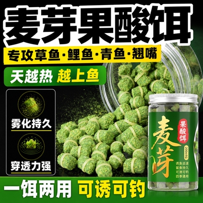 果酸皮筋颗粒果味鱼饵料黑坑野钓鲤鱼果香窝料大号主攻草鱼饵发酵