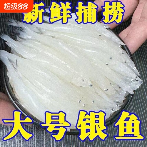 新鲜冷冻银鱼银鱼鲜活速冻淡水银鱼淡水水库白饭鱼小银鱼批发商用