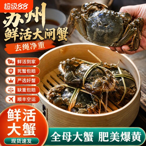 苏州特产螃蟹鲜活大闸蟹公可全母4两去绳净重顺丰中秋10只礼盒装