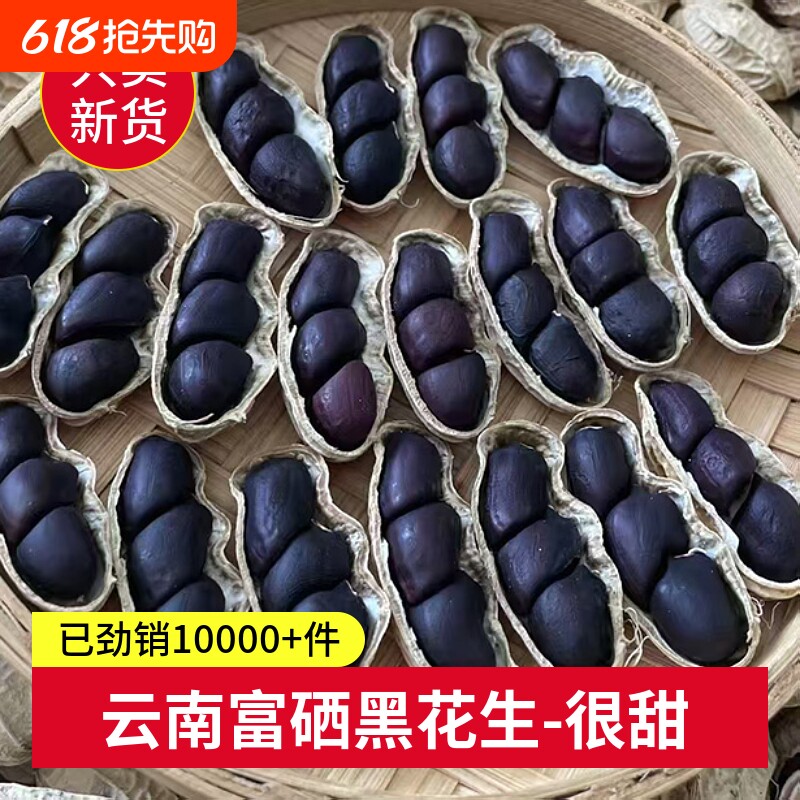 云南黑花生富硒普洱2025新货晒干种带壳黑皮花生米新鲜原味散装