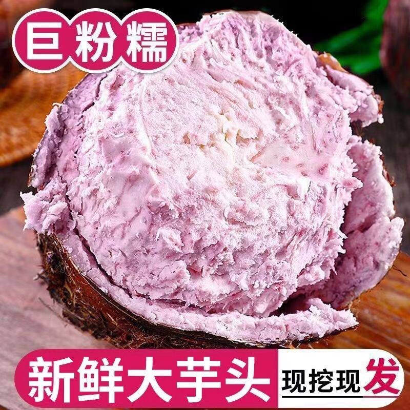 正宗广西荔浦大芋头新鲜粉香软糯荔浦芋头新鲜现挖广西特产