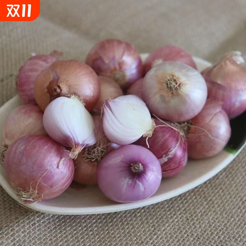 新鲜毛葱头干葱头珠葱小洋葱圆葱炸葱油广东肠粉酱汁发货包邮生鲜