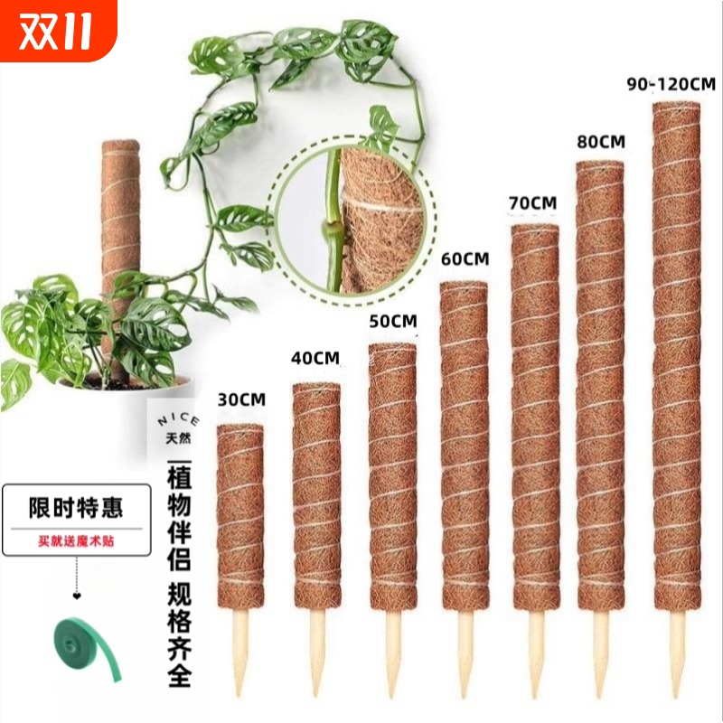 绿箩攀爬柱椰棕棒龟背竹支撑杆固定架植物爬藤花架棕榈皮椰丝苔藓