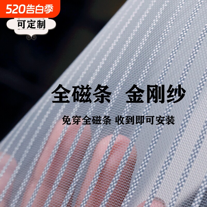 2026新款全磁条防蚊门帘夏季家用金刚网免打孔纱窗纱门磁性自卧室