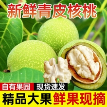 新鲜核桃2025新货带青皮湿嫩生核桃绿皮薄皮专用生核桃仁黑桃孕妇
