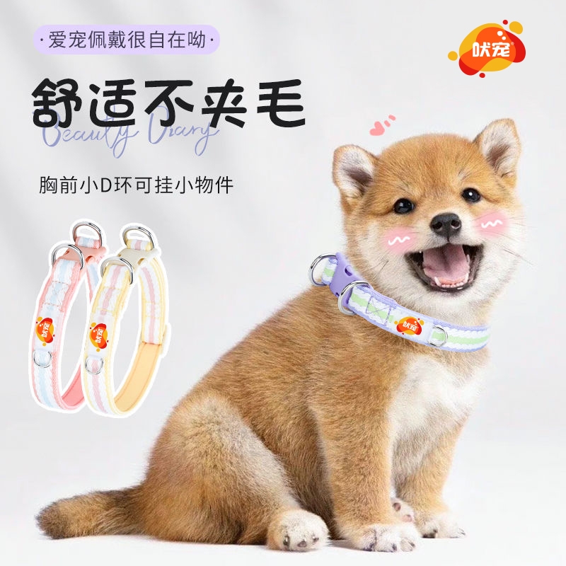 透气舒适项圈吠宠时尚单品