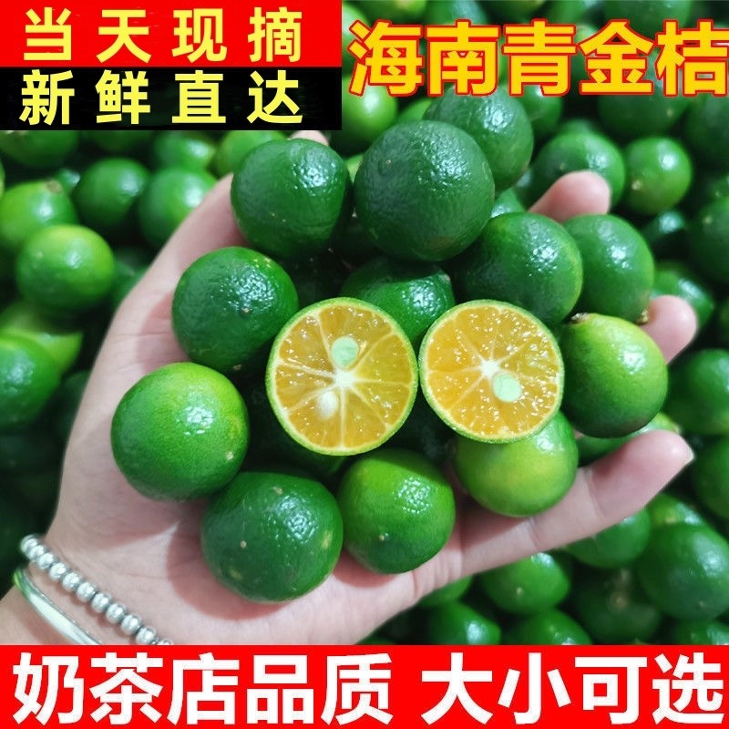 海南特产青金桔柠檬小青柠新鲜水果火锅蘸料调百香果青桔现摘清香