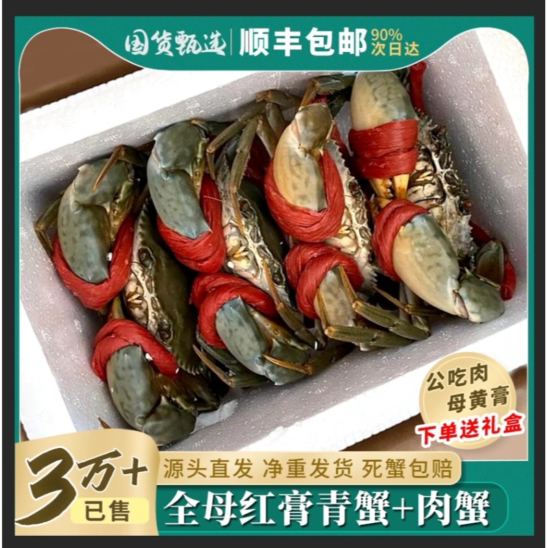 东山岛野生青蟹海鲜水产鲜活特大红膏蟹 猷蠓螃蟹红膏鲟蟹全母3只