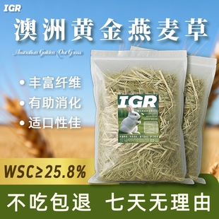 澳麦草黄金燕麦草兔子食用进口专用干草豚鼠荷兰猪龙猫草料兔饲料