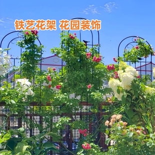 户外铁艺花园庭院栅栏爬藤架花架铁线莲蔷薇月季 植物绿萝撑杆支架