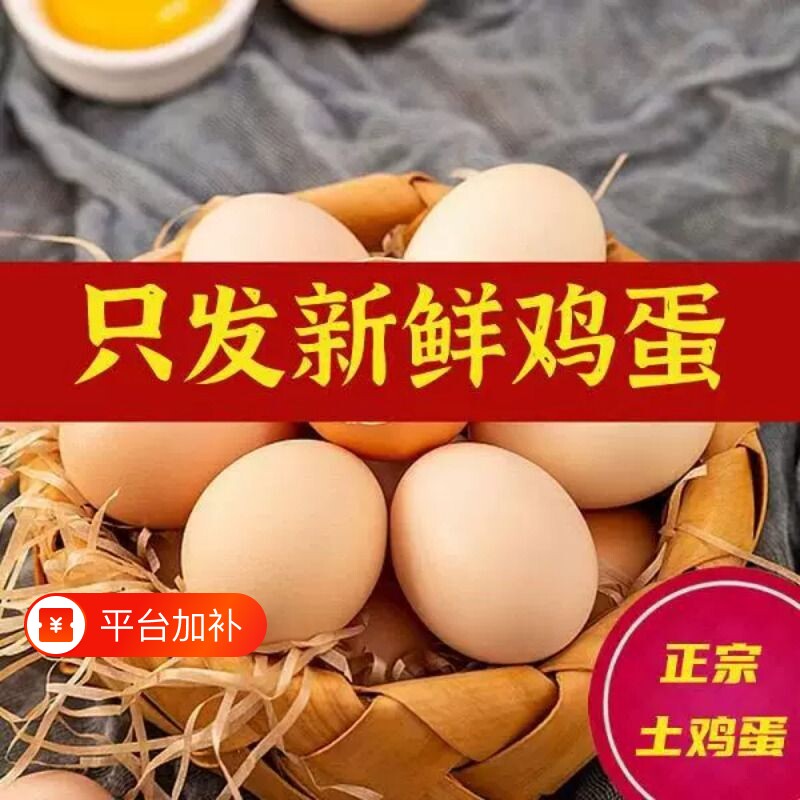 皖南小镇可生食无菌蛋农家初生蛋柴鸡蛋30枚1200g江浙沪皖次日达