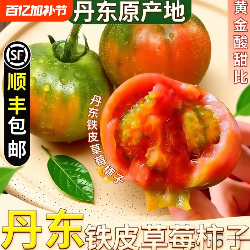 正宗铁皮草莓柿子5斤现摘碱地新鲜自然熟绿腚番茄水果农家西红柿