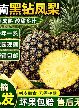 云南黑钻凤梨无眼菠萝新鲜现摘水果酸甜热带水果非金钻基地直发