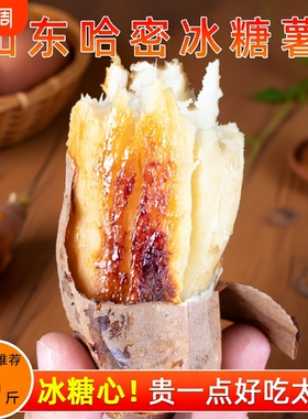 山东哈密冰糖薯新鲜白心蜜薯糖心红薯超甜农家自种沙地番地瓜9斤