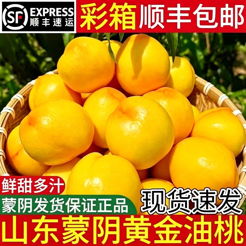 山东蒙阴黄桃新鲜当季水果现摘桃子整箱脆甜黄金蜜桃顺丰发黄油桃