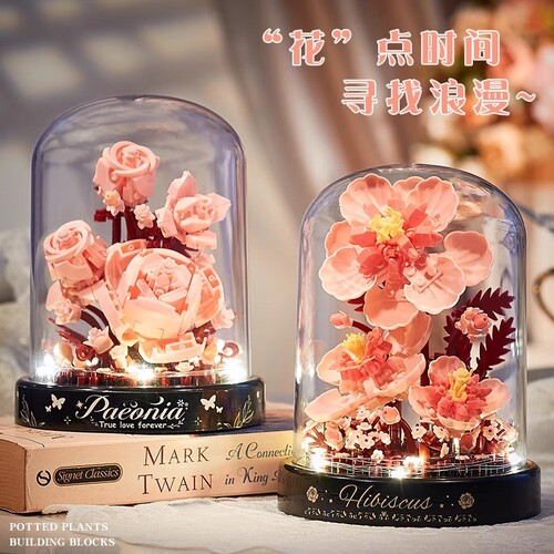 【清库存】永生积木花模型拼装