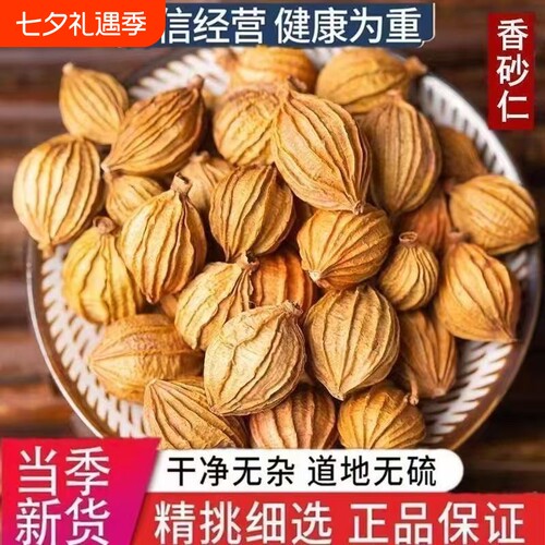 香砂仁香料500g精选四川砂仁金大全卤料火锅调料商用批发花椒无硫