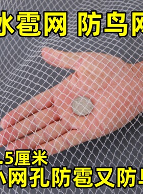 防雹网果园防鸟网樱桃葡萄嘉宝果树防小鸟用的网防冰雹专用防护网
