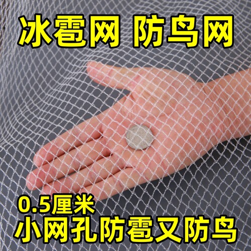 防雹网果园防鸟网樱桃葡萄嘉宝果树防小鸟用的网防冰雹专用防护网