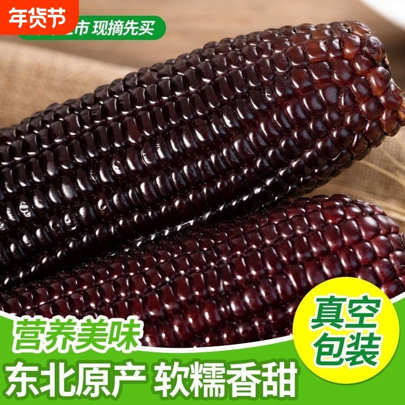 东北黑糯玉米新鲜甜糯粘苞米棒真空包装早餐代餐低脂包邮真空装,粮油调味/速食/干货/烘焙,玉米,淘宝优惠券,粉丝福利购,淘宝优惠卷