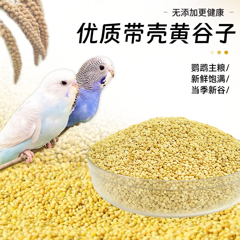 鹦鹉鸟粮食饲料黄谷子鸟食虎皮牡丹带壳黄小米玄凤珍珠鸟专用5斤