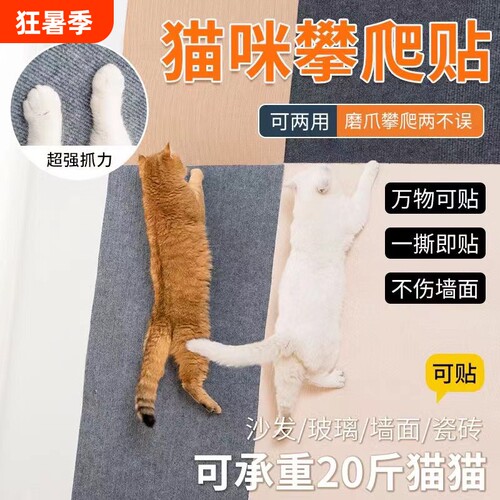 猫咪专用爬垫，磨爪玩耍两不误