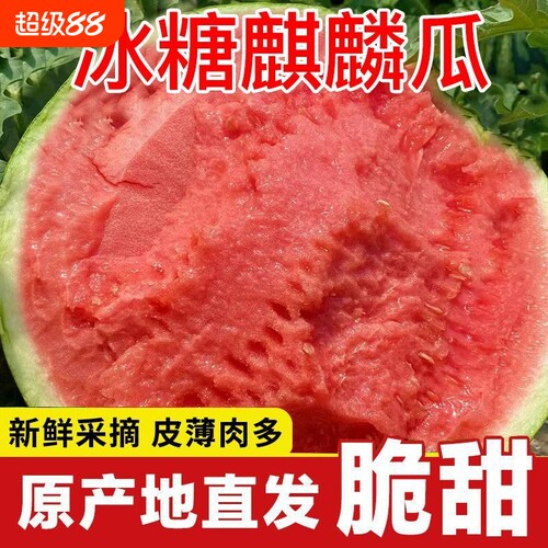 【顺丰-京东生鲜特快】头茬新鲜麒麟西瓜美都8424无籽有籽精品瓜