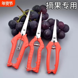摘果剪强力修枝剪子园林葡萄专用剪刀采摘家用修剪树枝弹簧不锈钢