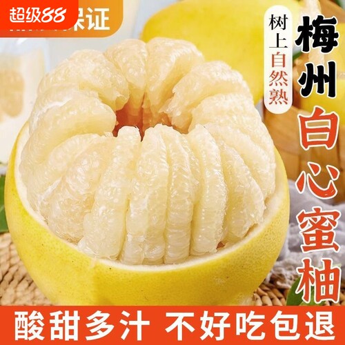正宗福建平和琯溪水晶白心蜜肉柚