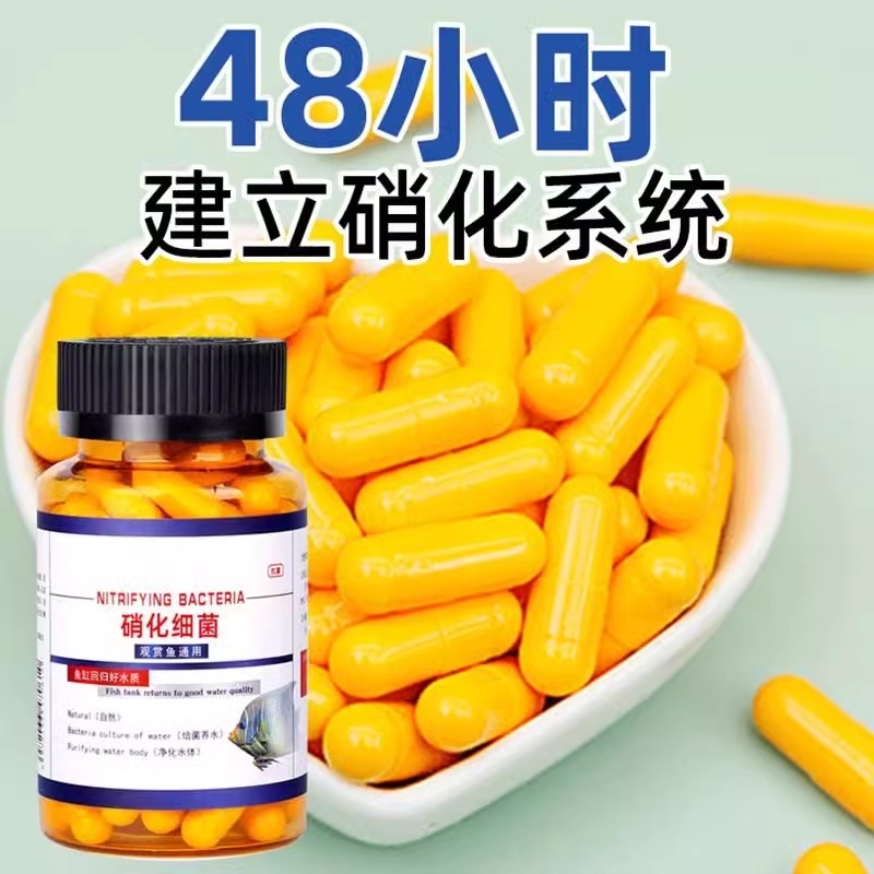 鱼乐宝除鱼缸净水剂清澈剂菌片分解剂水水质硝化细菌养鱼亚甲基