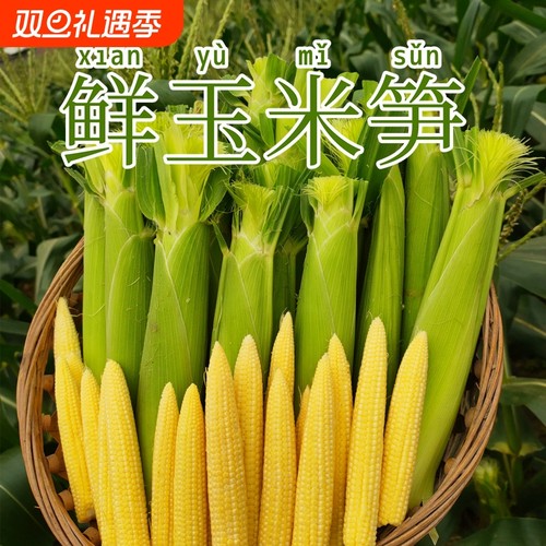 鲜果农产品现摘玉米笋