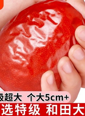 新疆特级和田大枣特大红枣骏枣和田玉枣非免洗零食干果泡茶熬粥