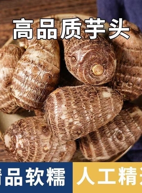 山东当季现挖牛奶芋头毛芋头新鲜软糯小香芋精挑芋艿