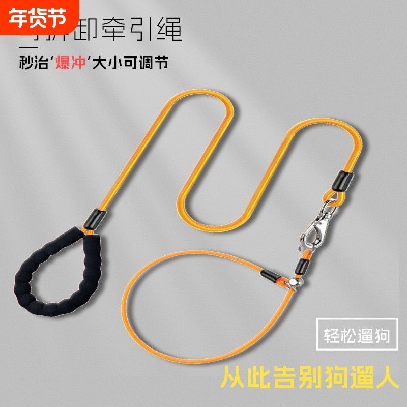 狗狗牵引绳狗绳p绳p链中型犬大型犬训犬狗链子遛狗绳牵狗绳小型犬,宠物/宠物食品及用品,狗牵引绳,淘宝优惠券,粉丝福利购,淘宝优惠卷