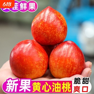 黄心油桃新鲜大果现摘脆甜桃子黄肉水密桃孕妇蜜脆桃当季水果整箱